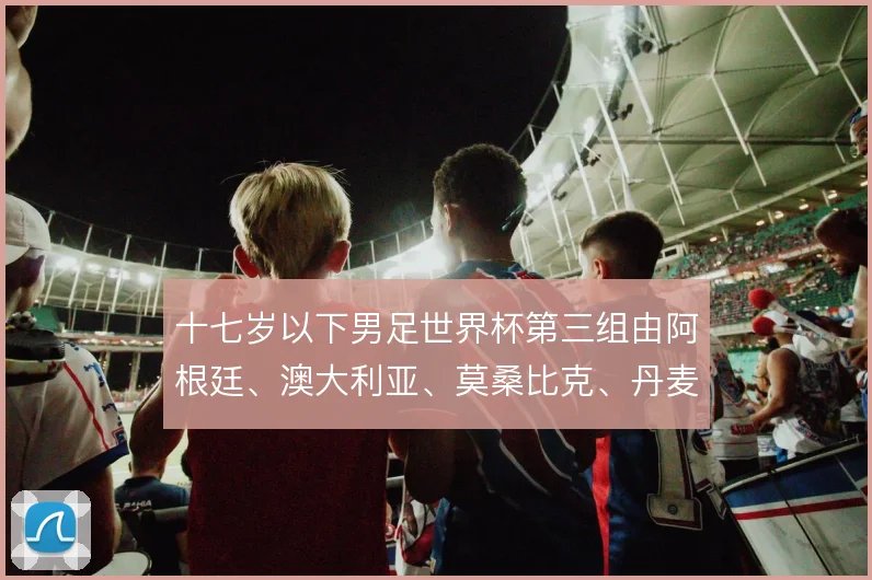 十七岁以下男足世界杯第三组由阿根廷、澳大利亚、莫桑比克、丹麦组成