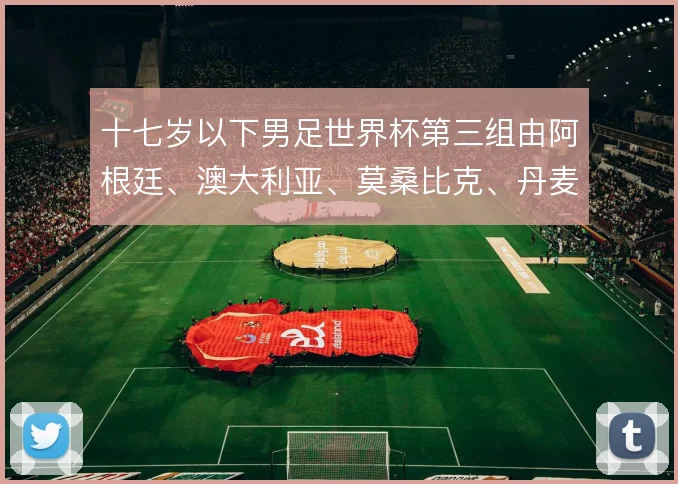十七岁以下男足世界杯第三组由阿根廷、澳大利亚、莫桑比克、丹麦组成